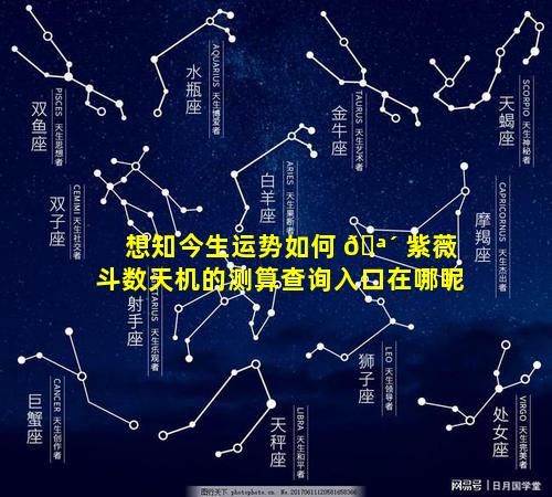 想知今生运势如何 🪴 紫薇斗数天机的测算查询入口在哪呢
